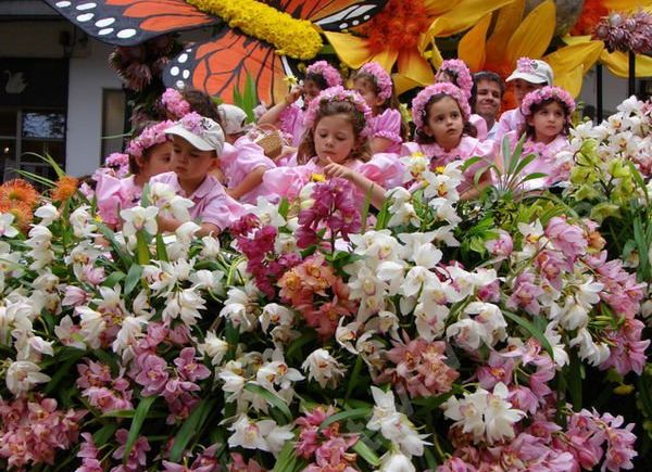фестиваль цветов на мадейре