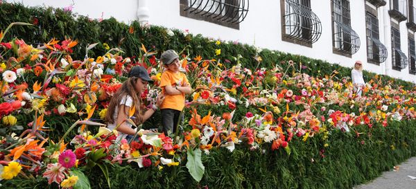 фестиваль цветов на мадейре