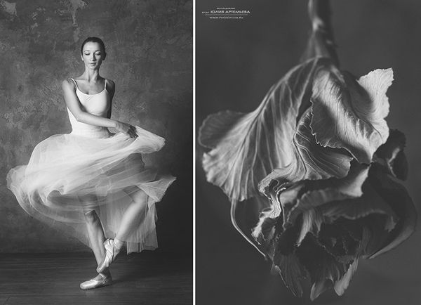 Юлия Артемьева - цветы и балерина