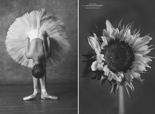 Юлия Артемьева - цветы и балерина