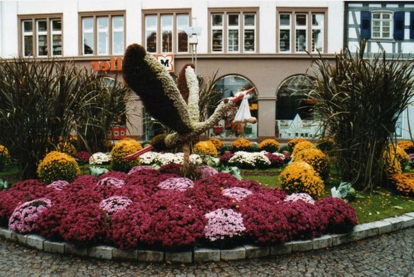 фестиваль хризантем в Германии